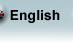 English Version