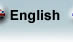 English Version