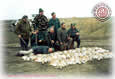Hares Hunting