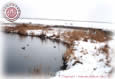 Ducks Post