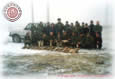 Hares Fog - January 2003