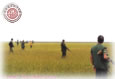 Quail Line - September 2002
