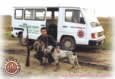 Polini & Dog Near Bus